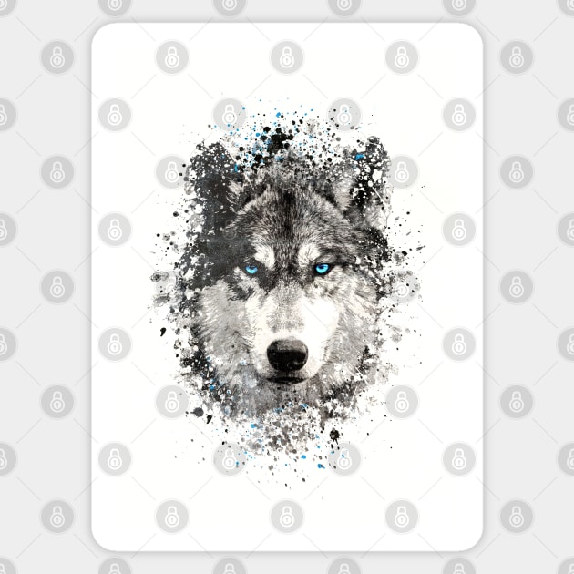 Wolf with blue eyes Sticker by Voodoo Production